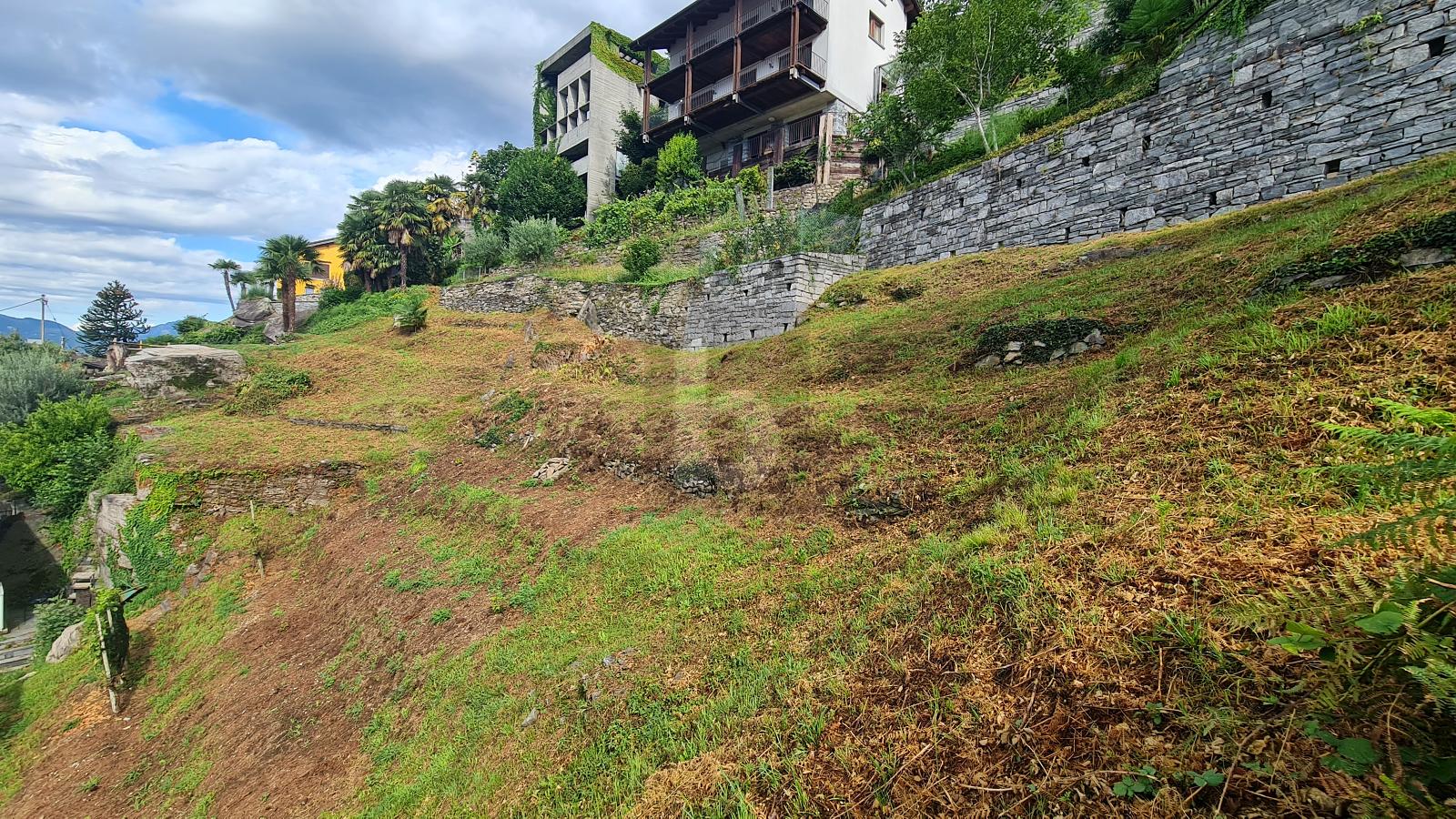 TRANQUILLO E SOLEGGIATO CON VISTA - 2