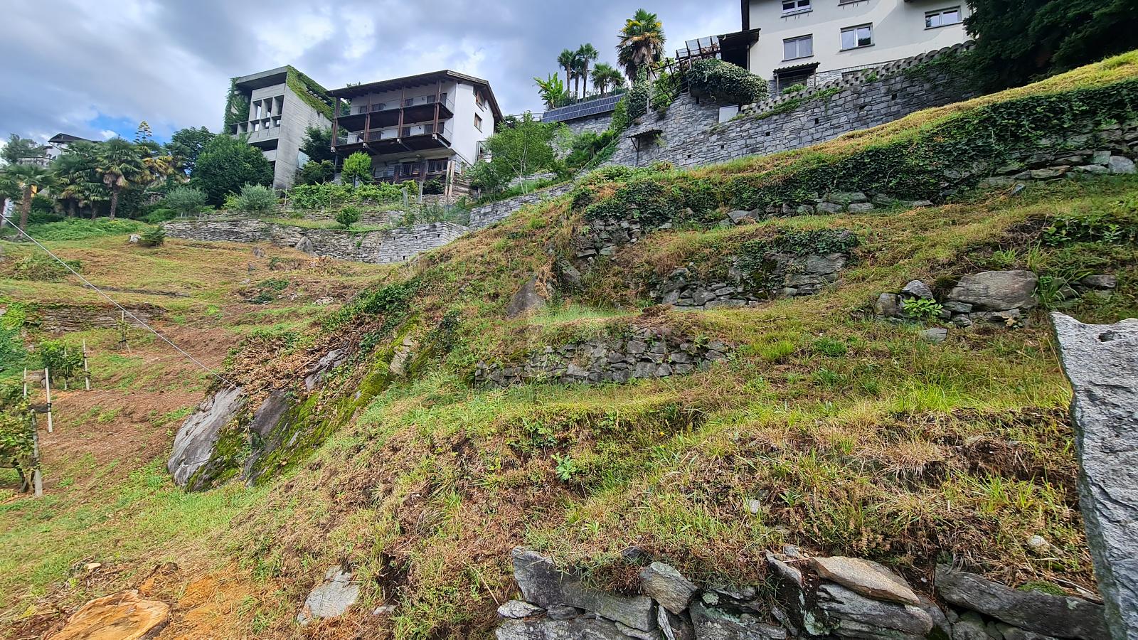 TRANQUILLO E SOLEGGIATO CON VISTA - 3