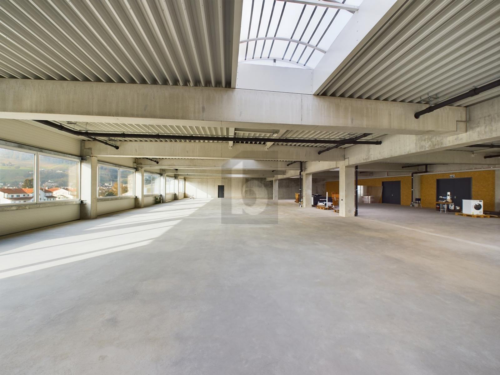 RIESIGE MONTAGEHALLE, IDEAL FÜR IHRE UNTERNEHMUNG - 0