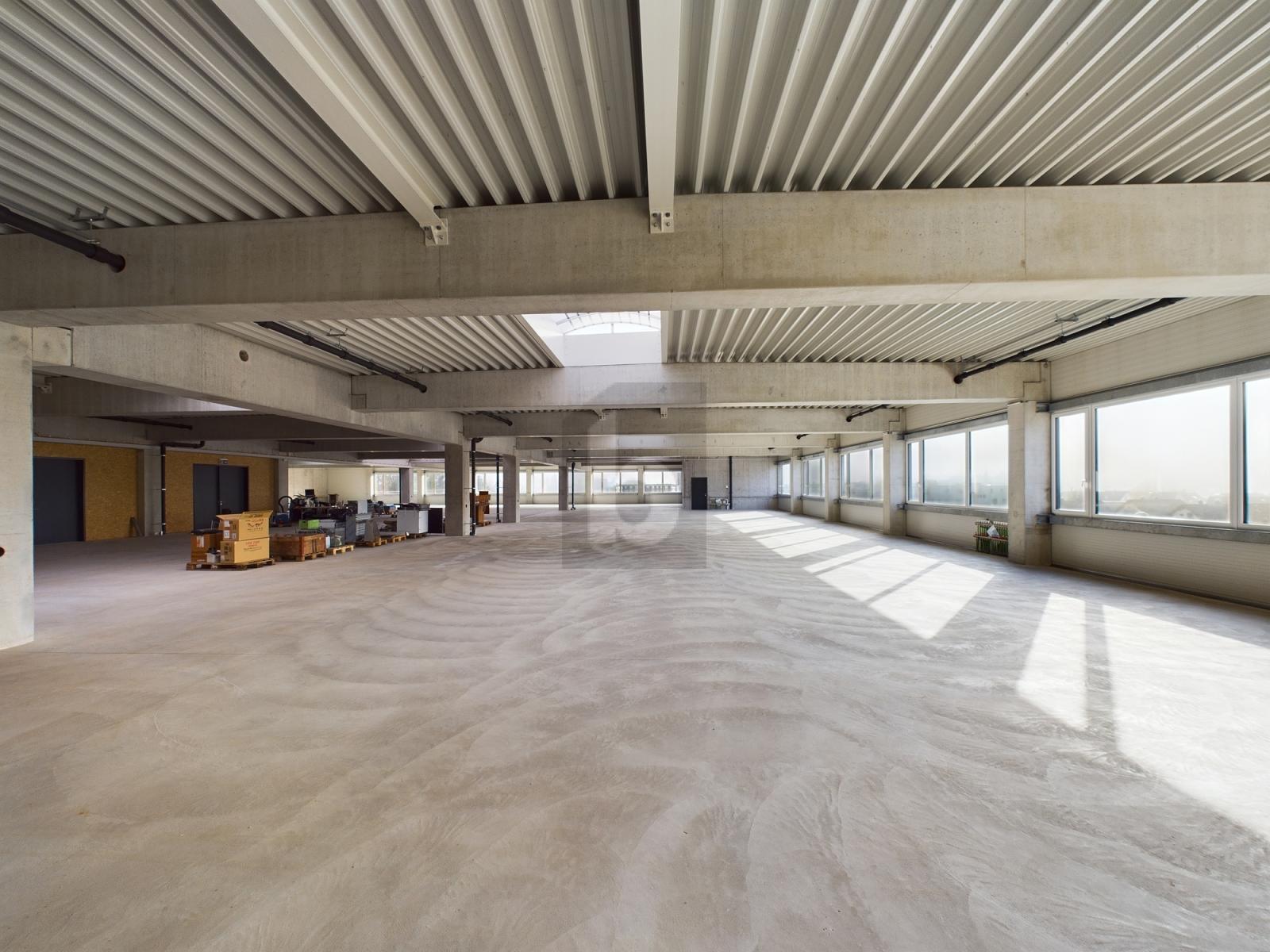 RIESIGE MONTAGEHALLE, IDEAL FÜR IHRE UNTERNEHMUNG - 2