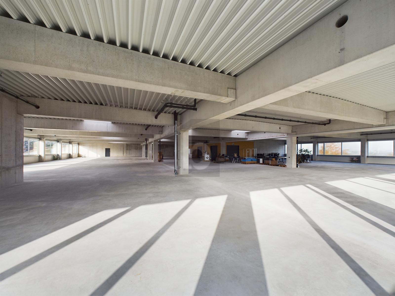 RIESIGE MONTAGEHALLE, IDEAL FÜR IHRE UNTERNEHMUNG - 3