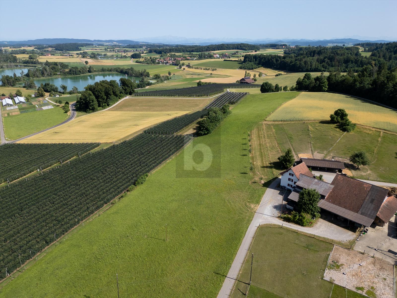 HISTORISCH MIT SEESICHT - 0