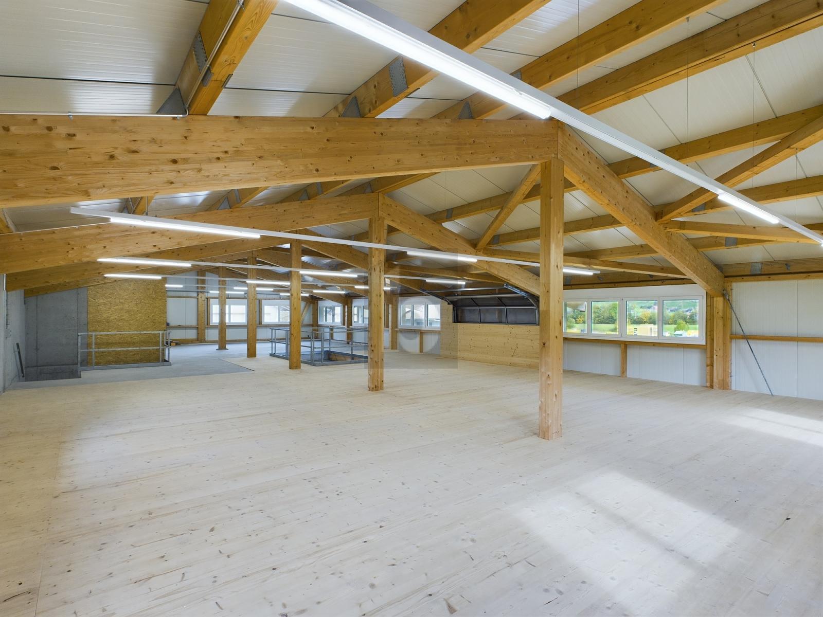 NEUBAU FÜR MASSGESCHNEIDERTE BEDÜRFNISSE - 3