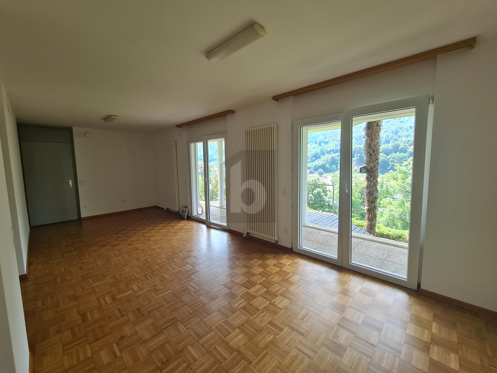 SPAZIOSA E SOLEGGIATO CON TERRENO - 1