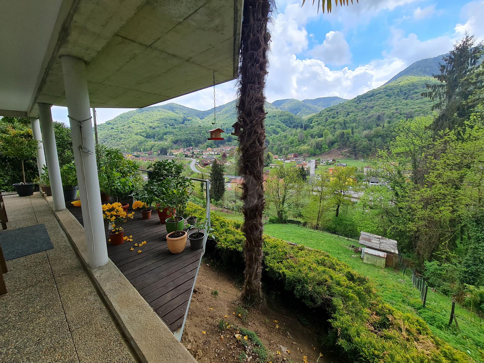 SPAZIOSA E SOLEGGIATO CON TERRENO - 3