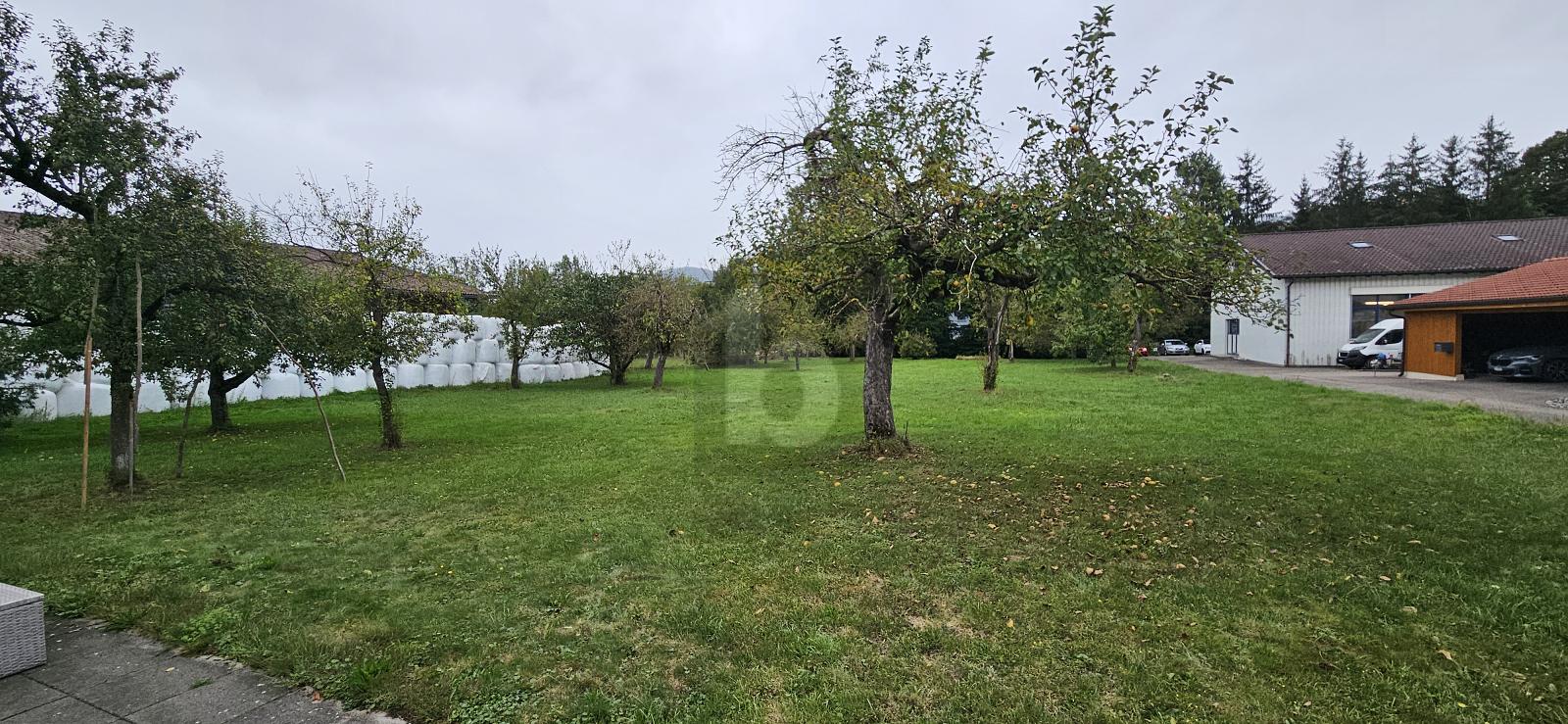 AU CENTRE DU VILLAGE - 0