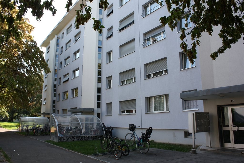 Wohnglück auf den ersten Blick - 0