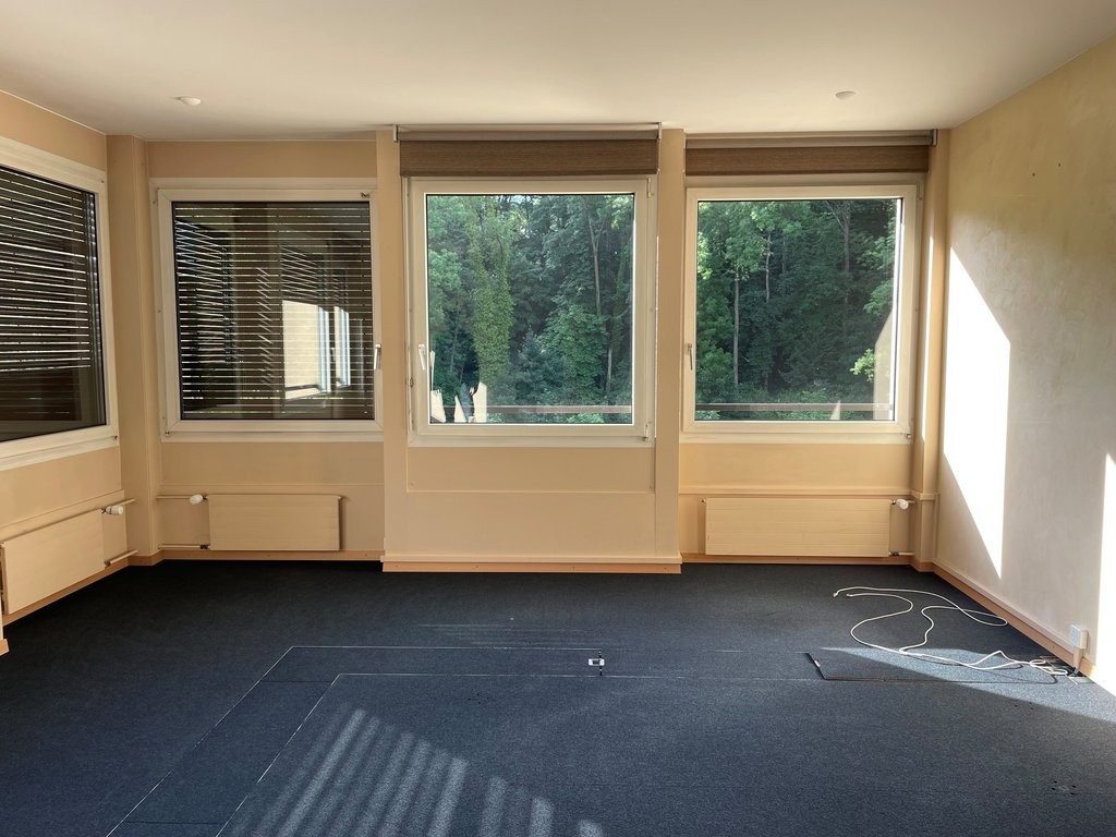 Bureau à louer (207m2) idéalement situé à Carouge - 3