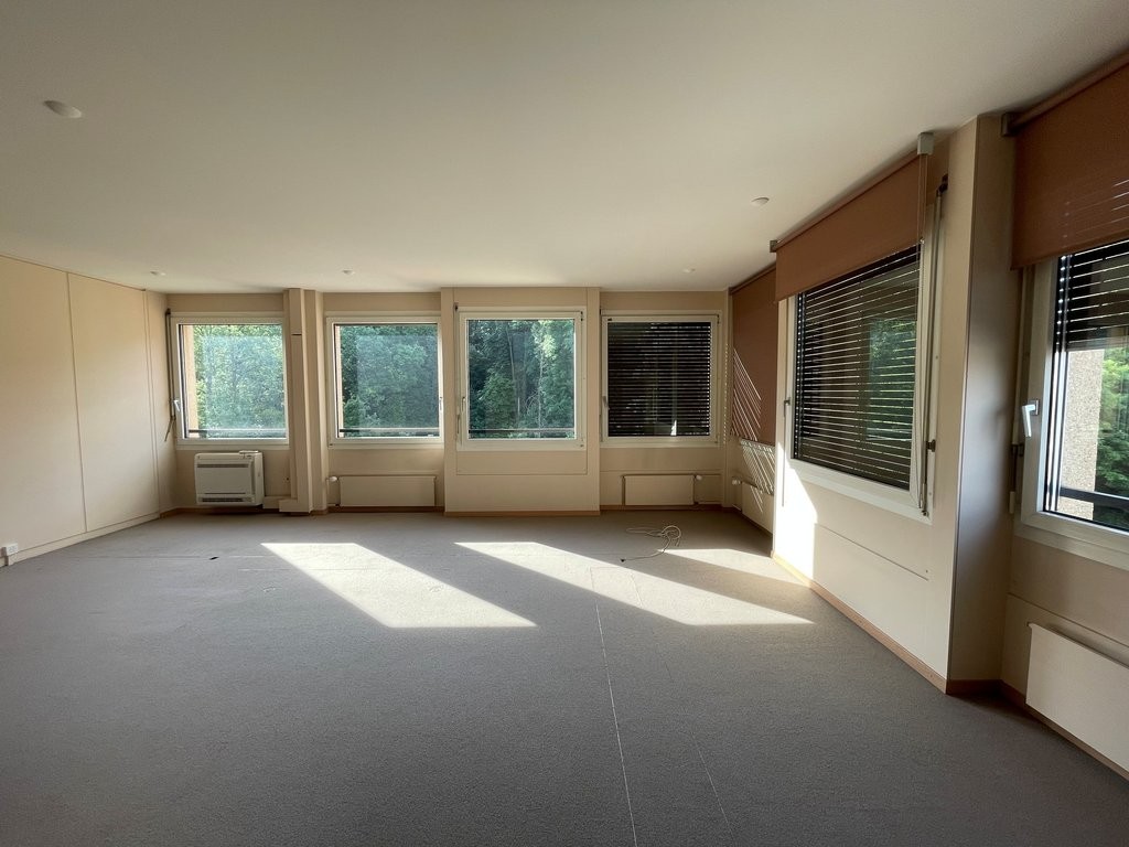 Bureau à louer (207m2) idéalement situé à Carouge - 4