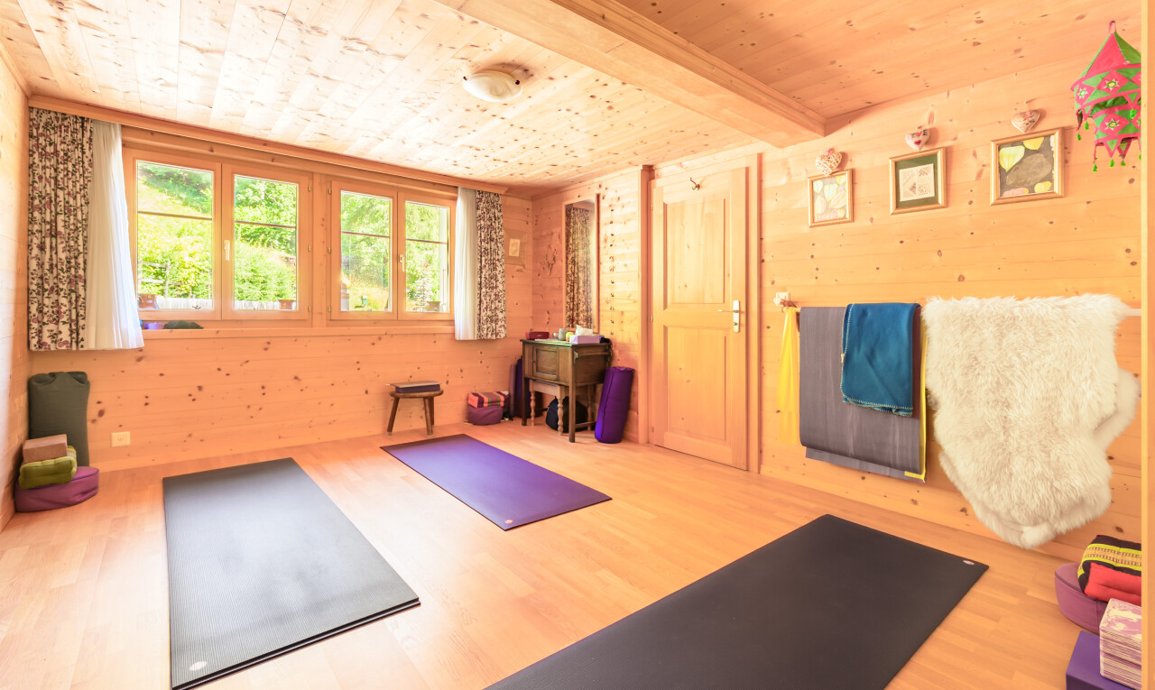 "La Bonne Étoile" – Chalet mit 3 bebaubaren Parzellen - 9