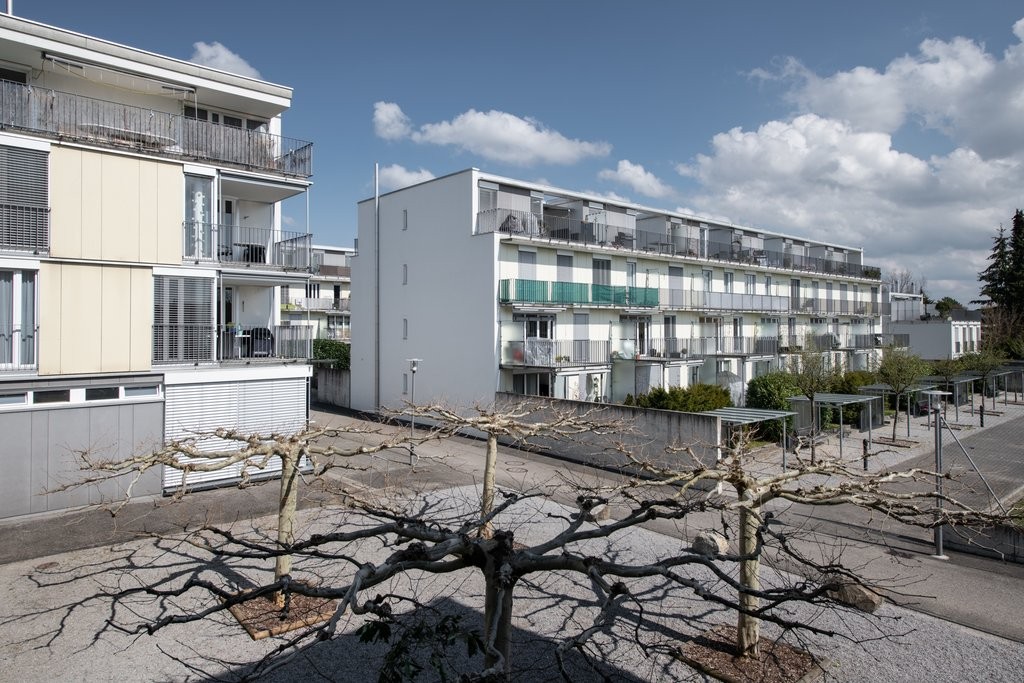 Ihre Wohnung - Ihr Paradies - 0