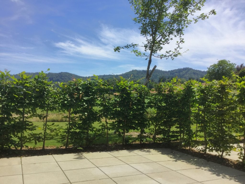 Wohnglück auf den ersten Blick! - 8