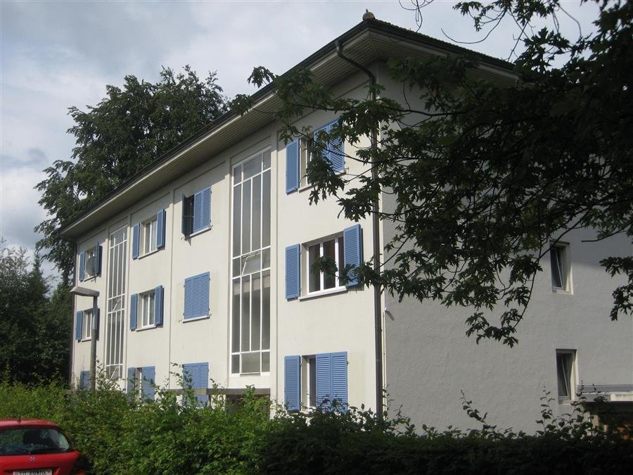 Mitten in der Stadt und doch im Grünen - 0