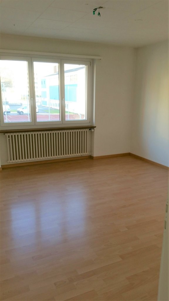 Mitten in der Stadt und doch im Grünen - 1