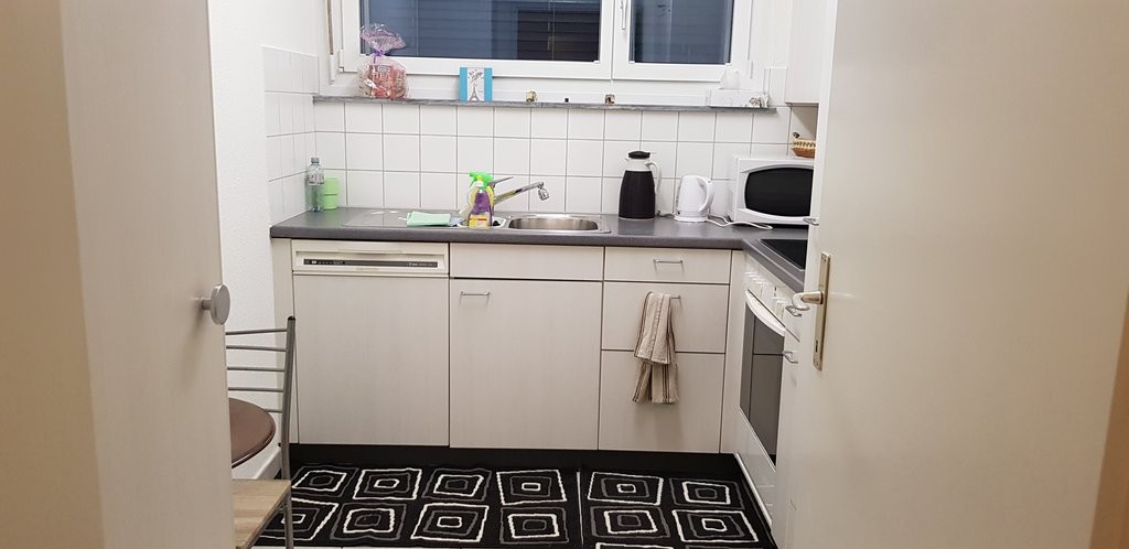 Ihr neues Wohnreich in Zumikon, befristet bis 31.03.2027 - 3