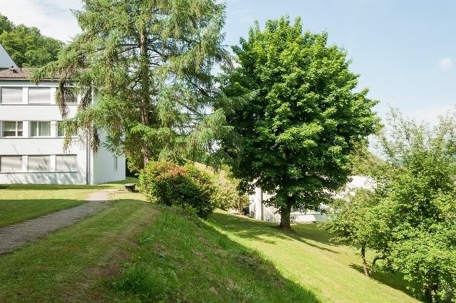 Ein glücklicher Wohnungsstart - 8