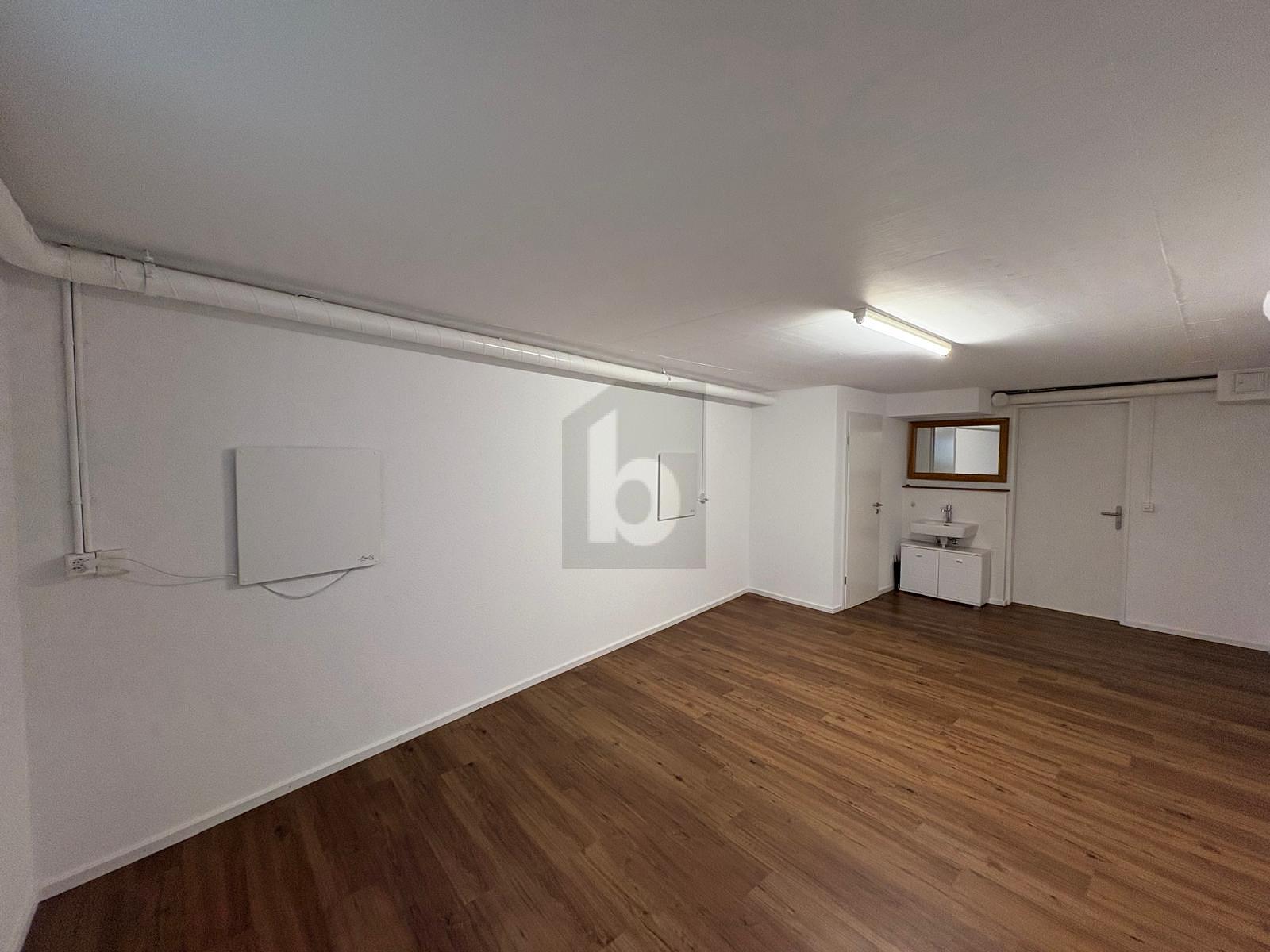 LUXURIÖSER ALLZWECKRAUM - 0