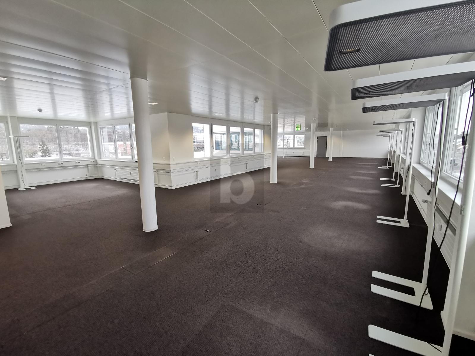 GROSS, HELL UND AN IDEALER LAGE - 1