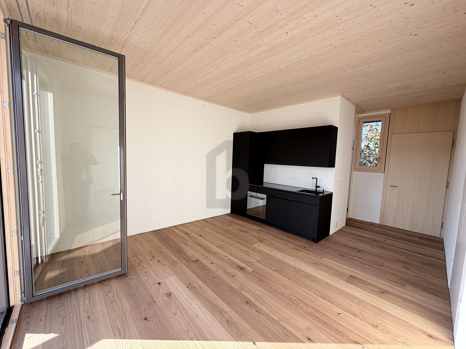 LICHTDURCHFLUTETER NEUBAU MIT GROSSEM GARTEN - 1