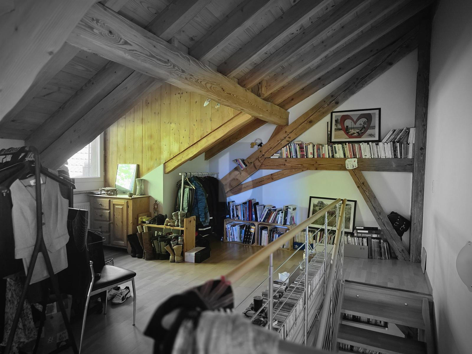 MAGNIFIQUE TRIPLEX AVEC VUE SUR LE LAC - 4