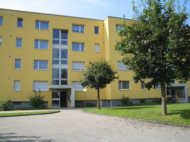 Tolle Wohnung im Grünen! - 1