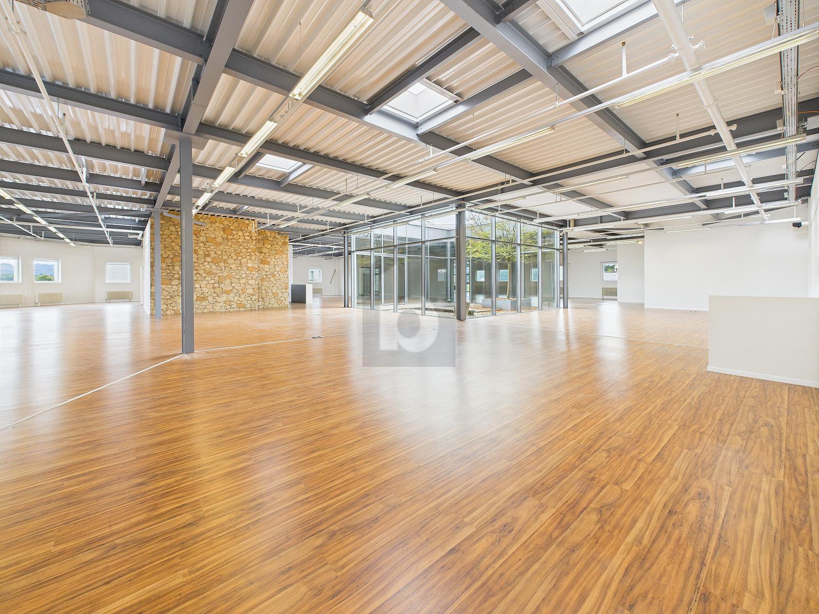 GROSSER HELLER SHOWROOM AN ZENTRALER LAGE - 0