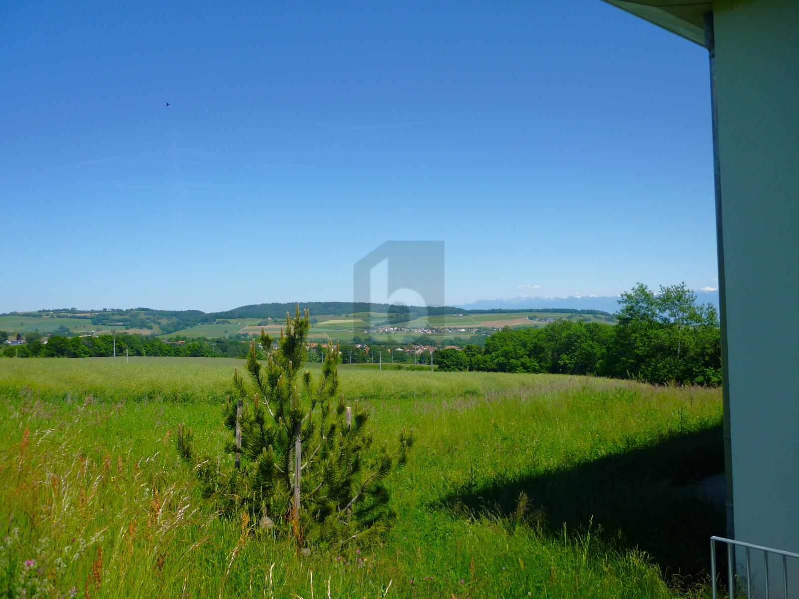  VILLA NEUVE : 4 CHAMBRES + UNE PIÈCE INDÉPENDANTE - 3