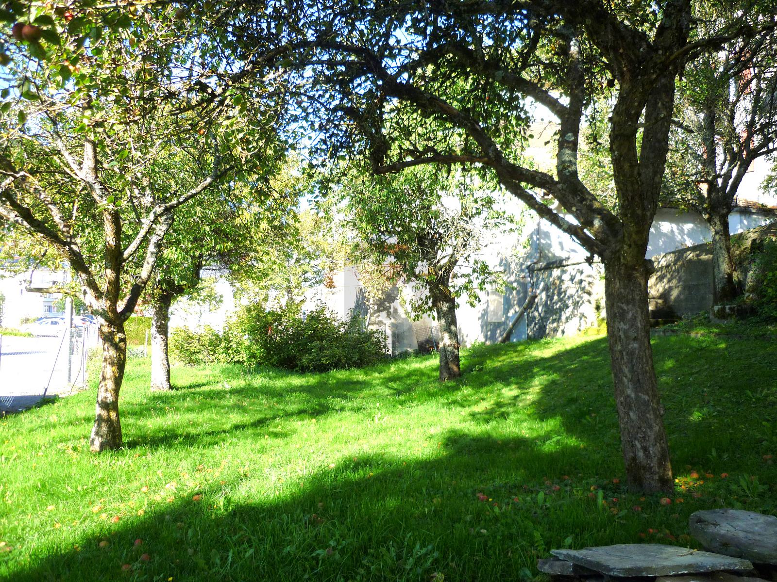 ÉLÉGANCE ANCIENNE, CONFORT MODERNE - 1