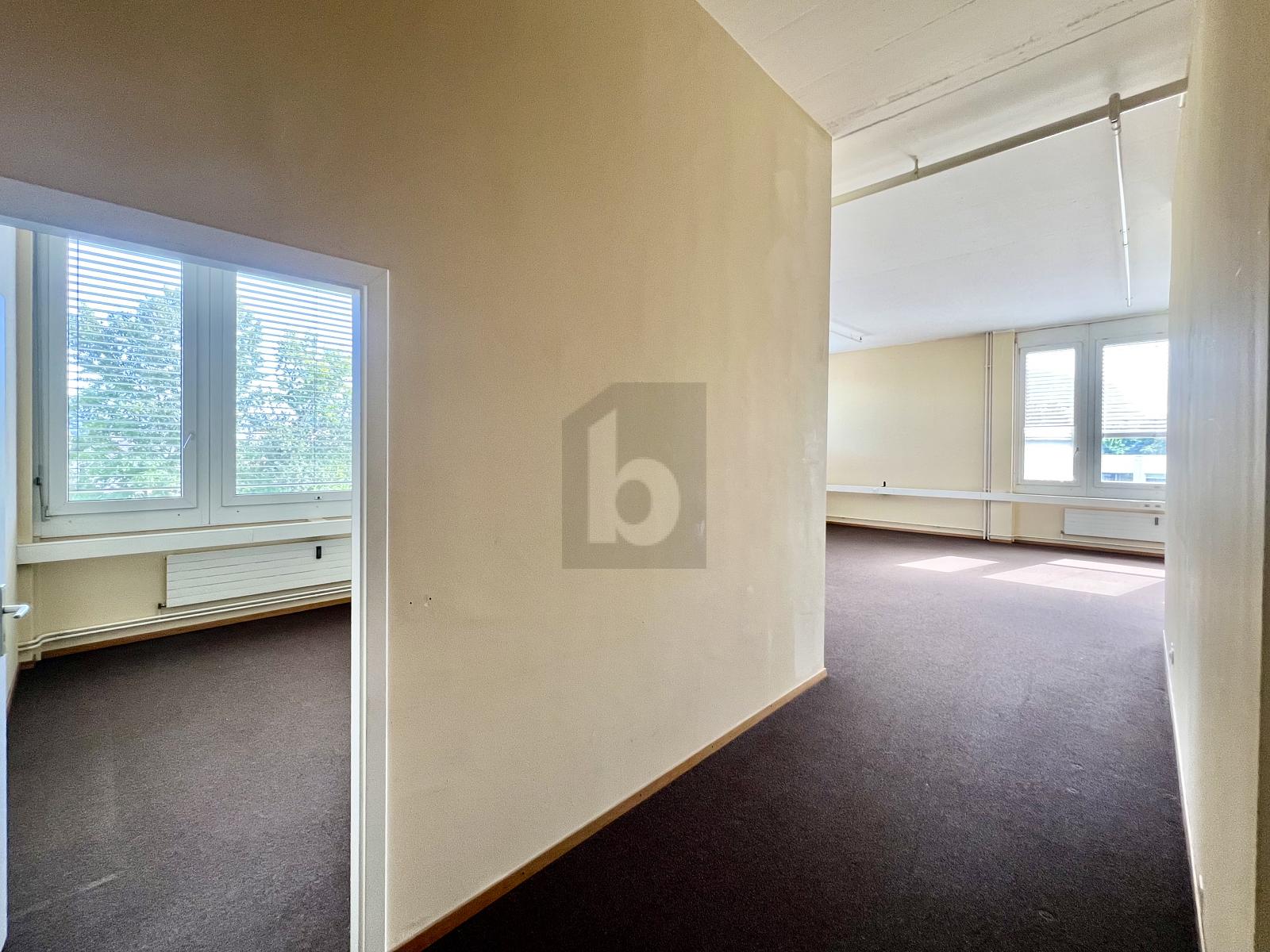 ESPACE DE BUREAUX HAUTS DE PLAFOND FACE AU SALEVE - 1