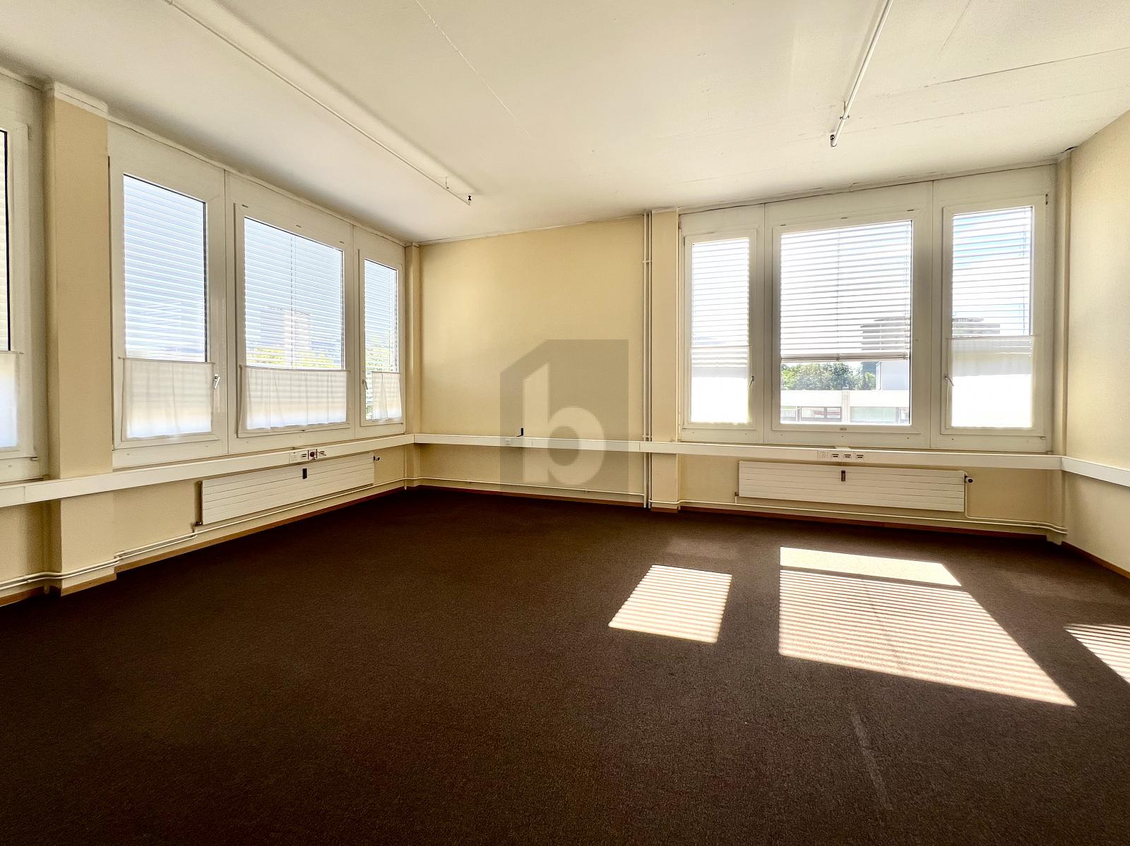 ESPACE DE BUREAUX HAUTS DE PLAFOND FACE AU SALEVE - 2