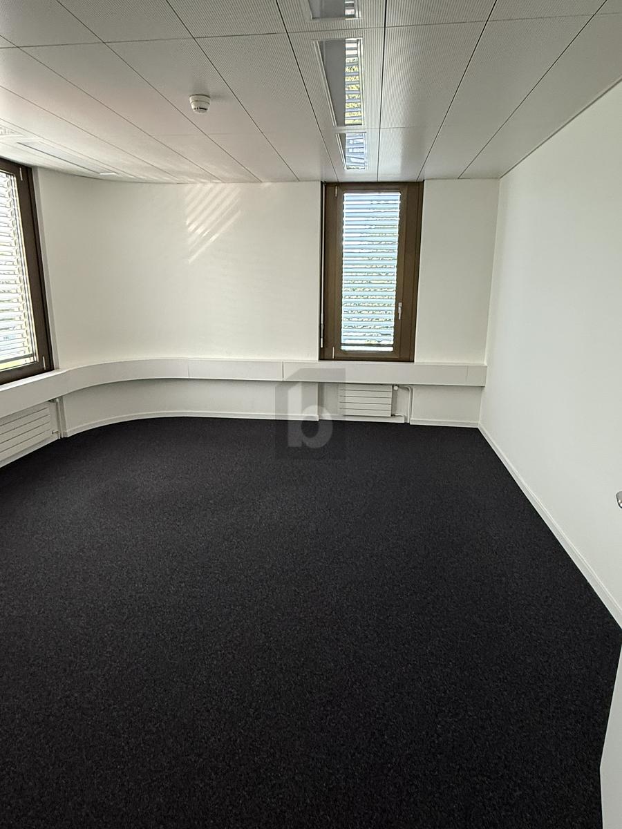 RUHIG, ZENTRAL MIT VIEL PLATZ - 1