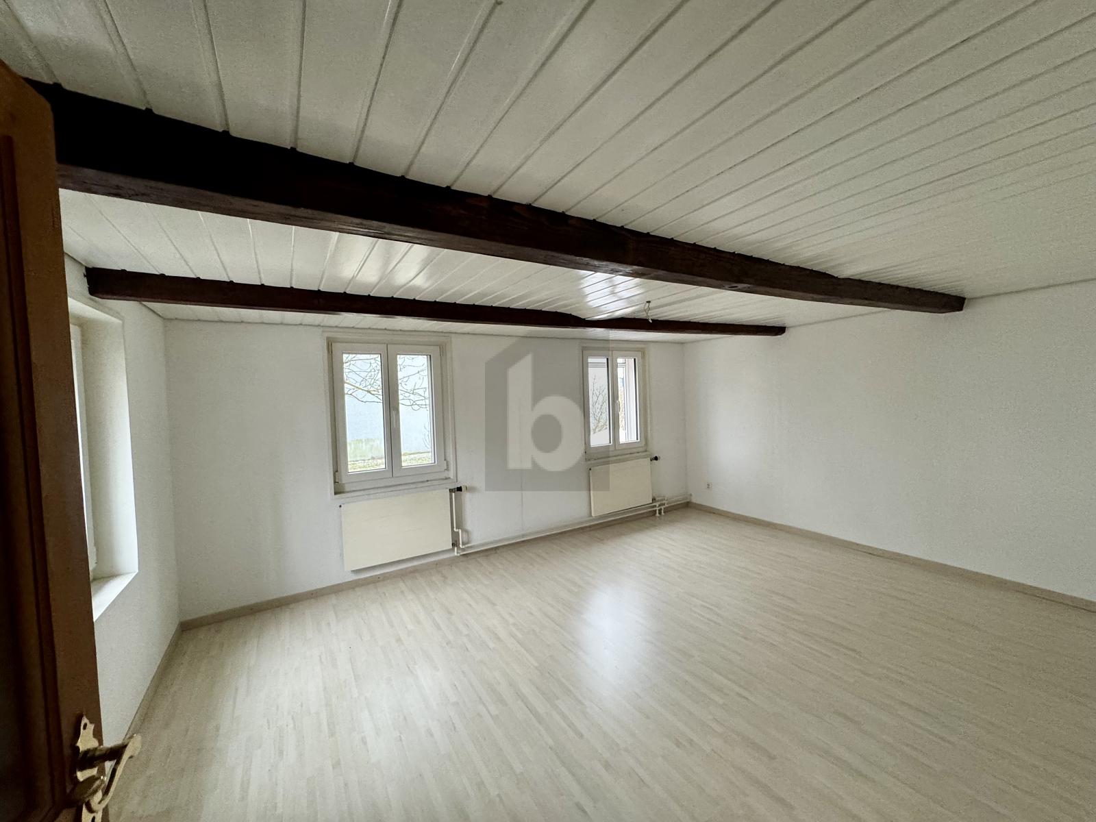 RUHIGE LAGE, FÜR DEN HANDWERKER - 4