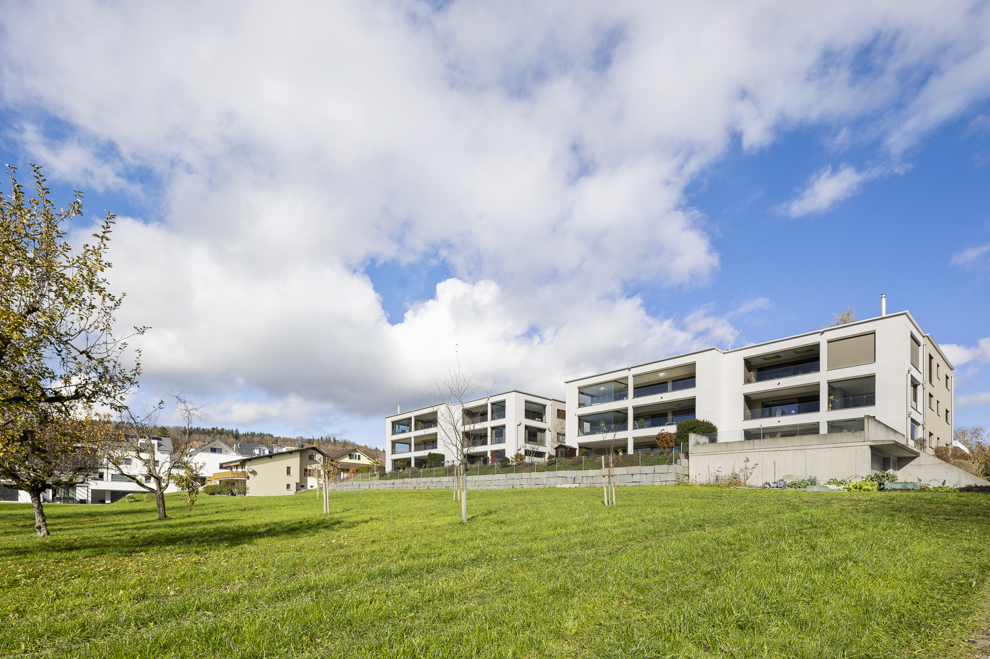 Moderner Wohntraum mit grosser Terrasse und unverbaubarer Weitsicht - 13