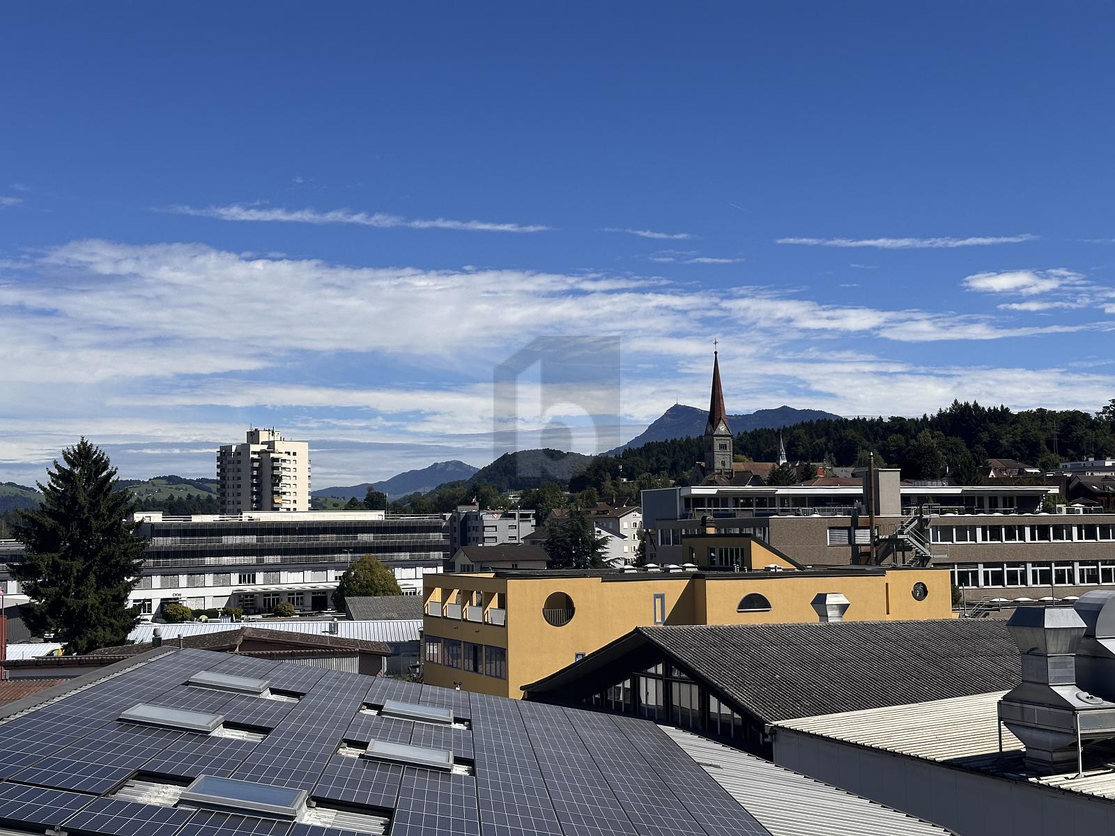 ZENTRAL, HOCHWERTIG MIT WINTERGARTEN - 0