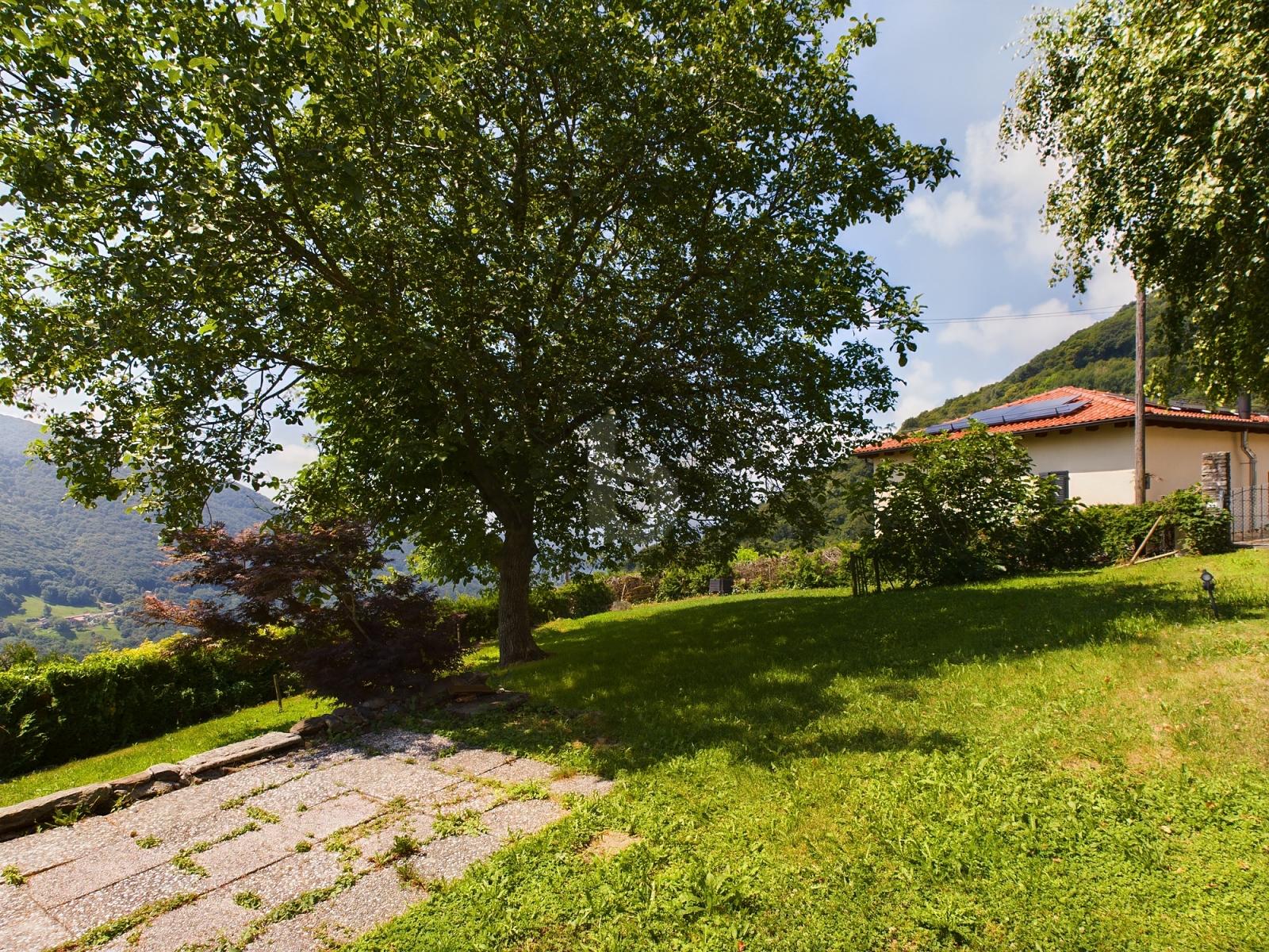 SOLEGGIATA CON AMPIO GIARDINO - 0