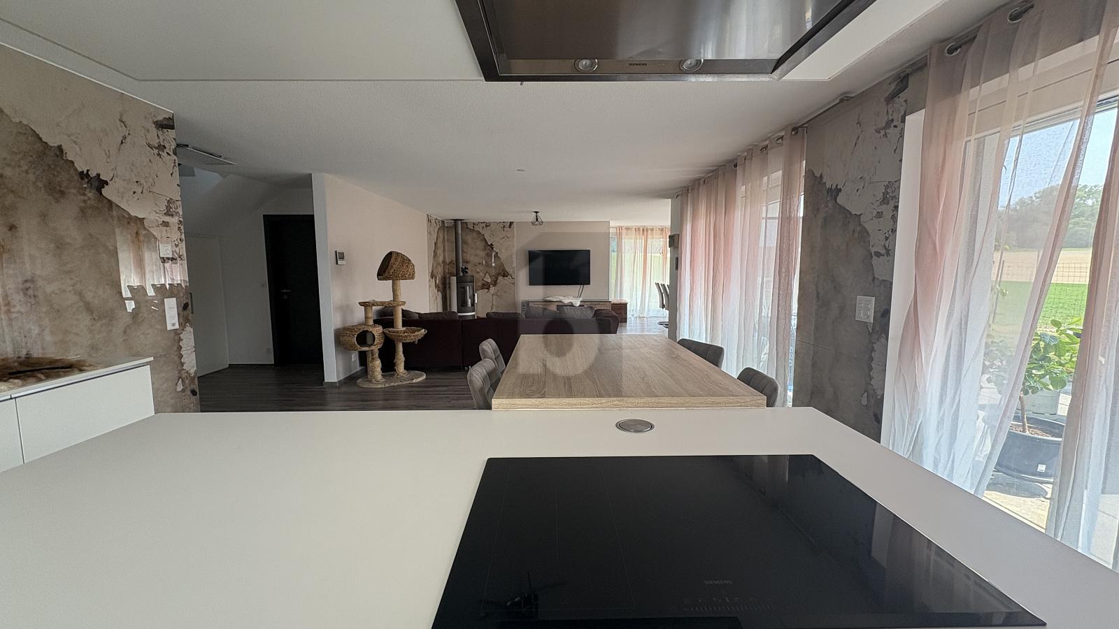 SITUATION EXCEPTIONELLE AU BORD DE LA FORET - 1