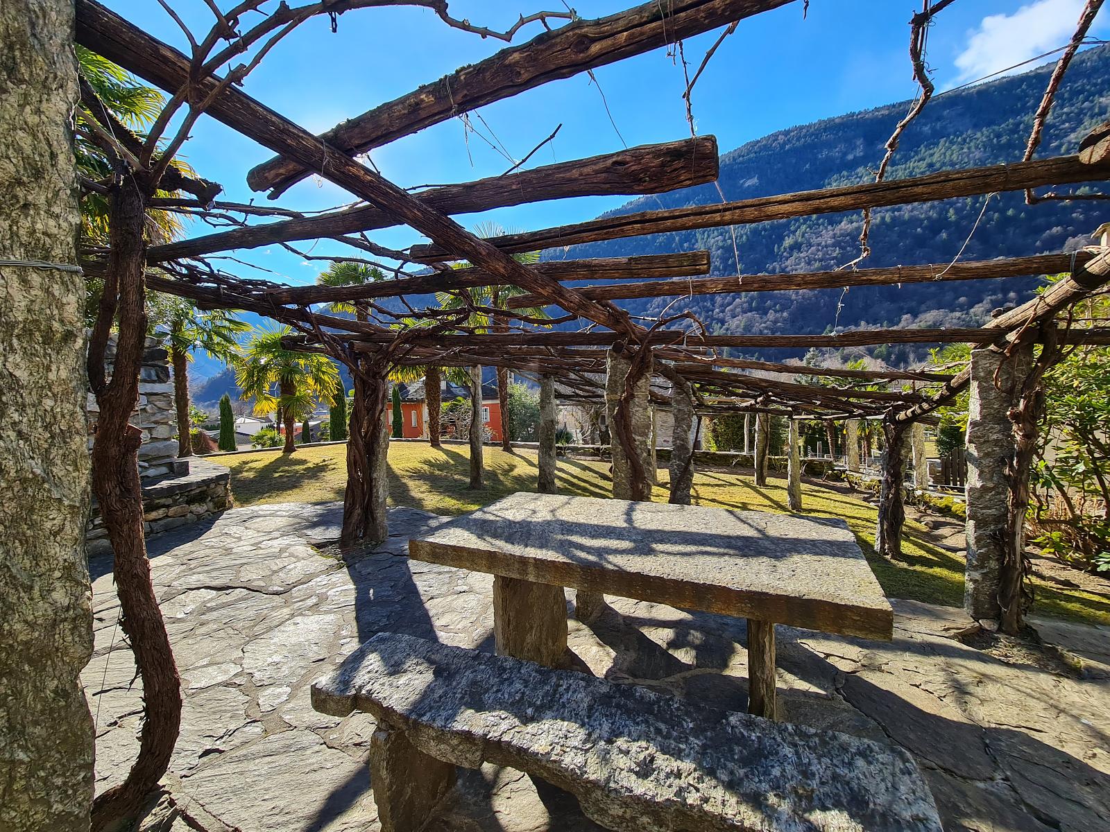 MERAVIGLIOSA TRA IL SOLE E LA NATURA - 2