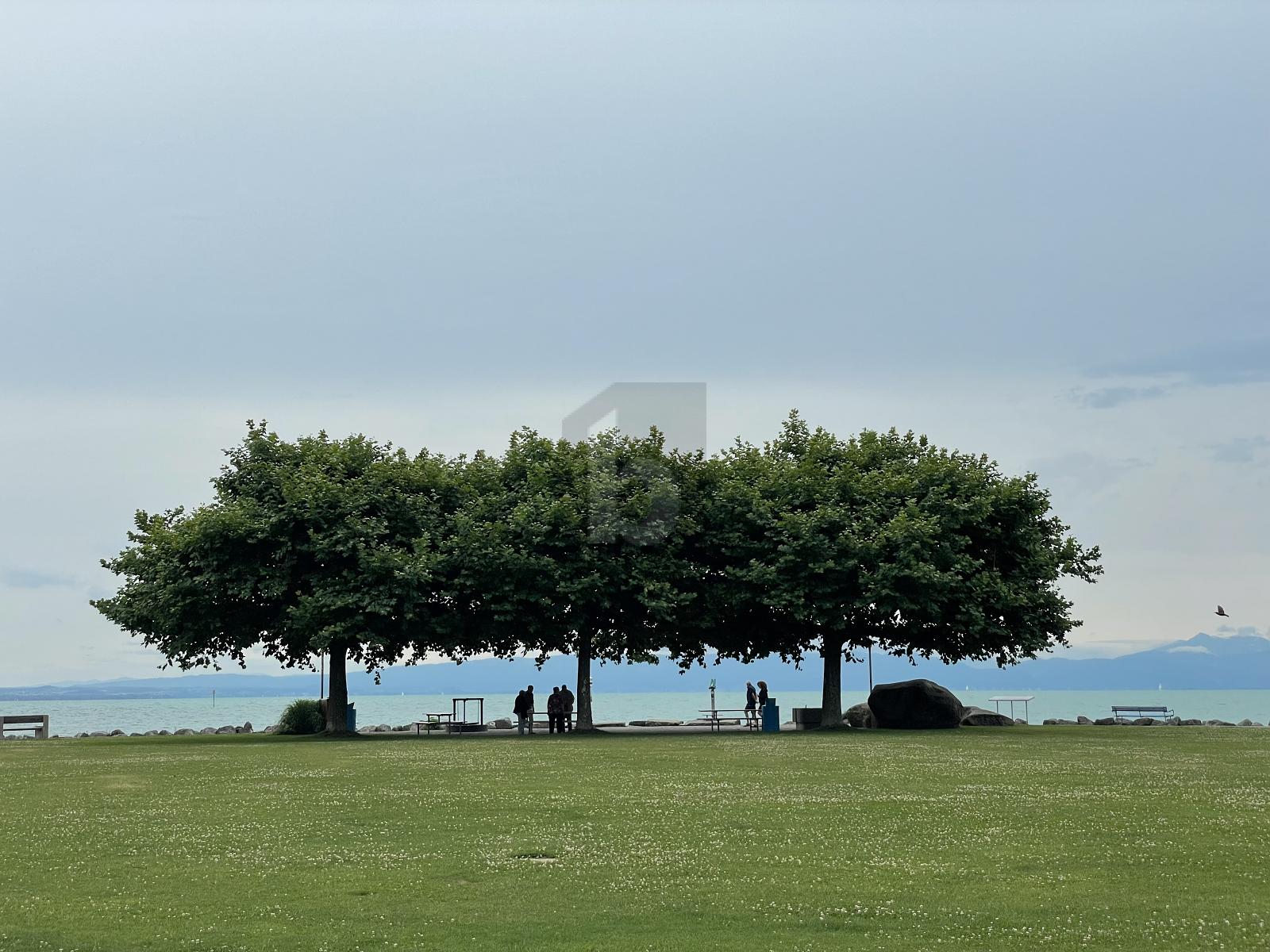 RENOVIERT MIT MODERNER KÜCHE - 4