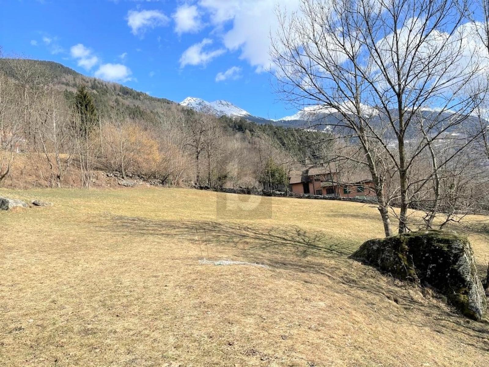 AMPIO E SOLEGGIATO CON PROGETTO APPROVATO - 1