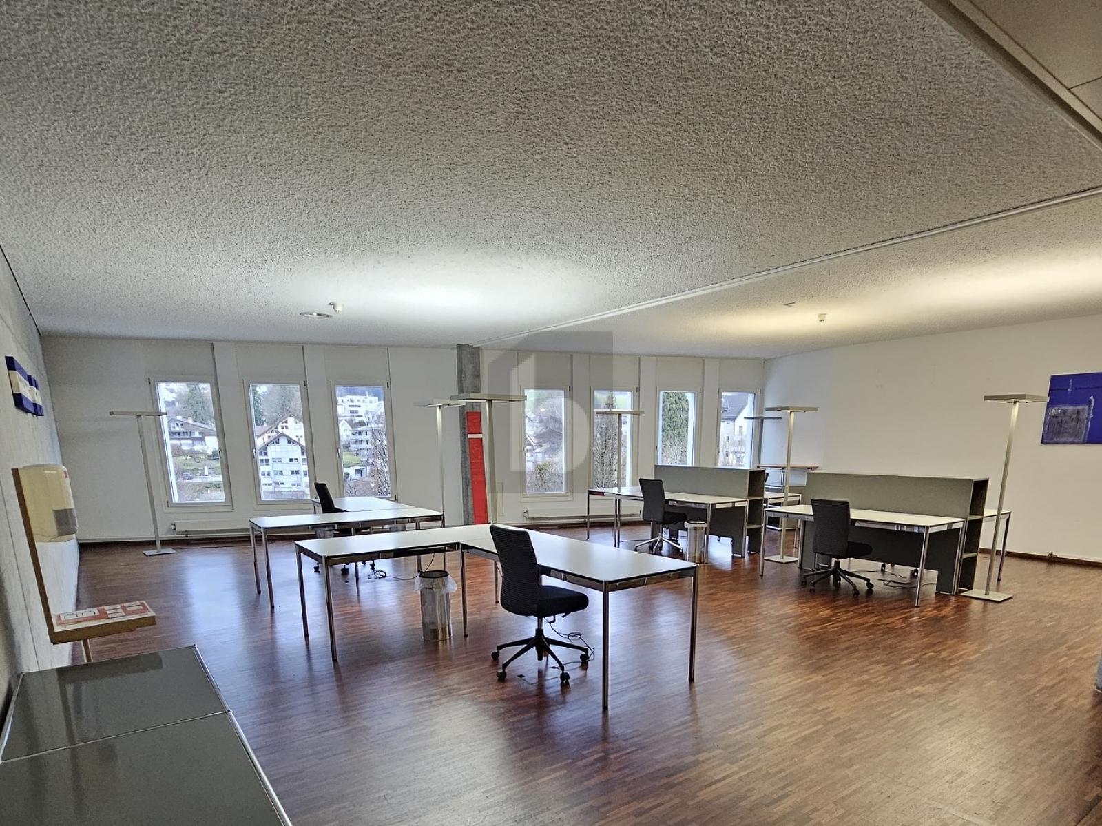 WEITLÄUFIGE GESCHÄFTSFLÄCHE - 1