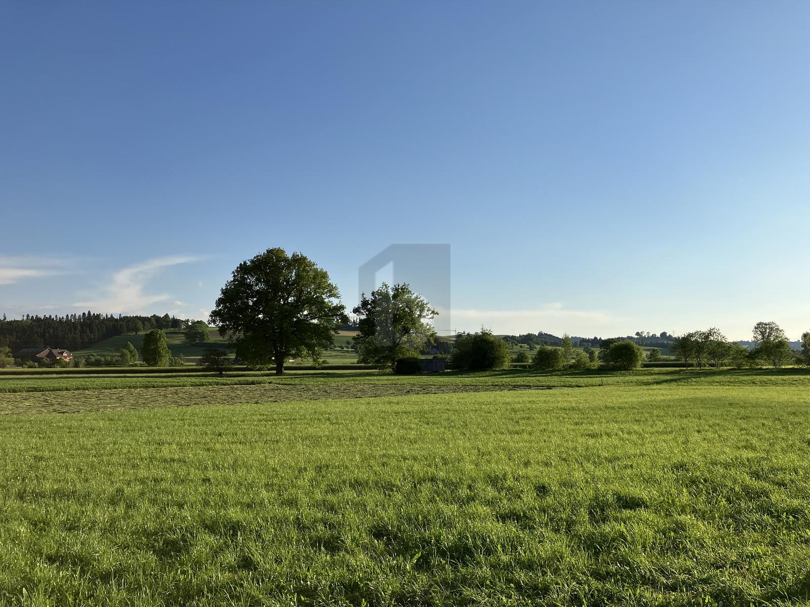 GROSSZÜGIGER NEUBAU MIT AUSREICHEND PARKPLÄTZEN - 3