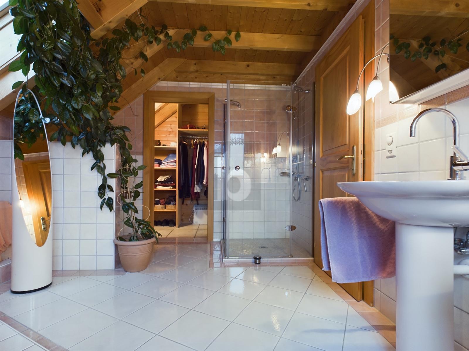 VOLLHOLZHAUS MIT UMSCHWUNG UND WEITSICHT! - 1