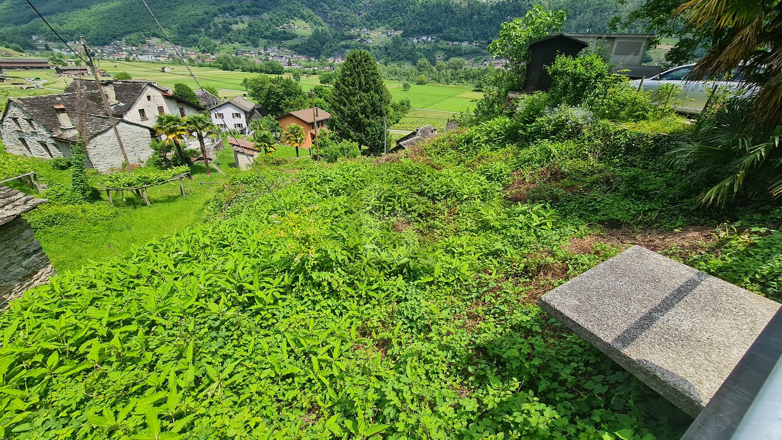 EDIFICABILE IN POSIZIONE SOLEGGIATA E CON VISTA APERTA - 3