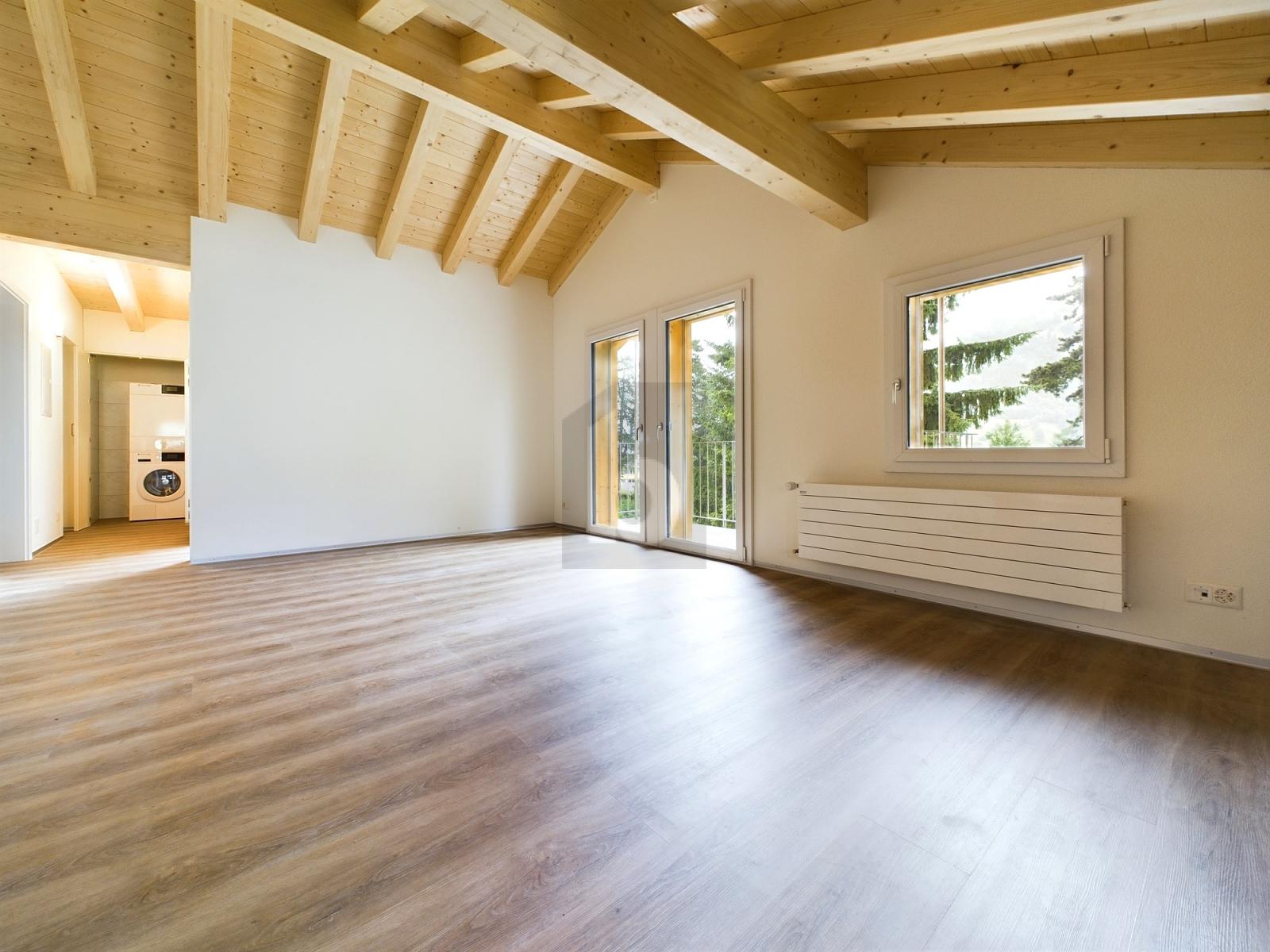 GROSSZÜGIG UND LICHTDURCHFLUTET - 2