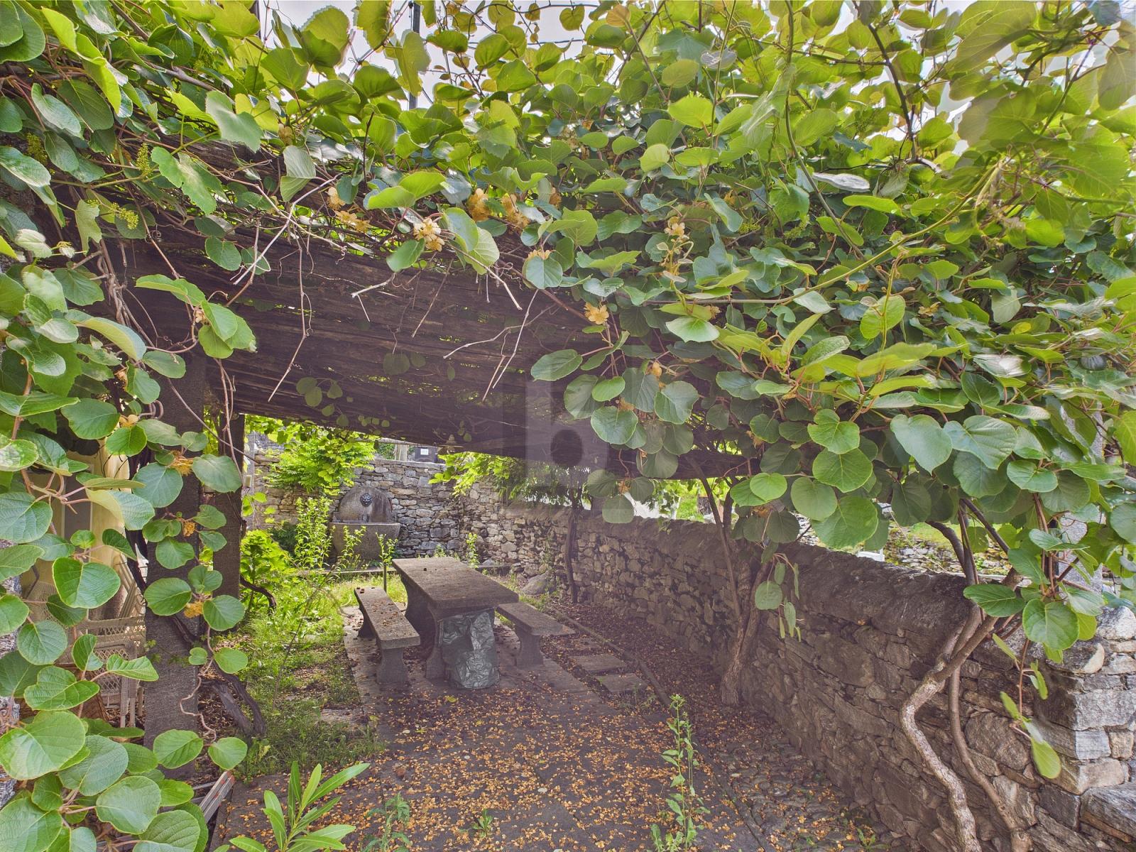 TIPICA CASA TICINESE SOLEGGIATA CON GIARDINO - 1