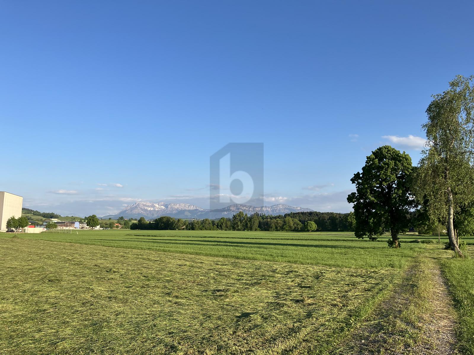 GROSSZÜGIGER NEUBAU MIT AUSREICHEND PARKPLÄTZEN - 2