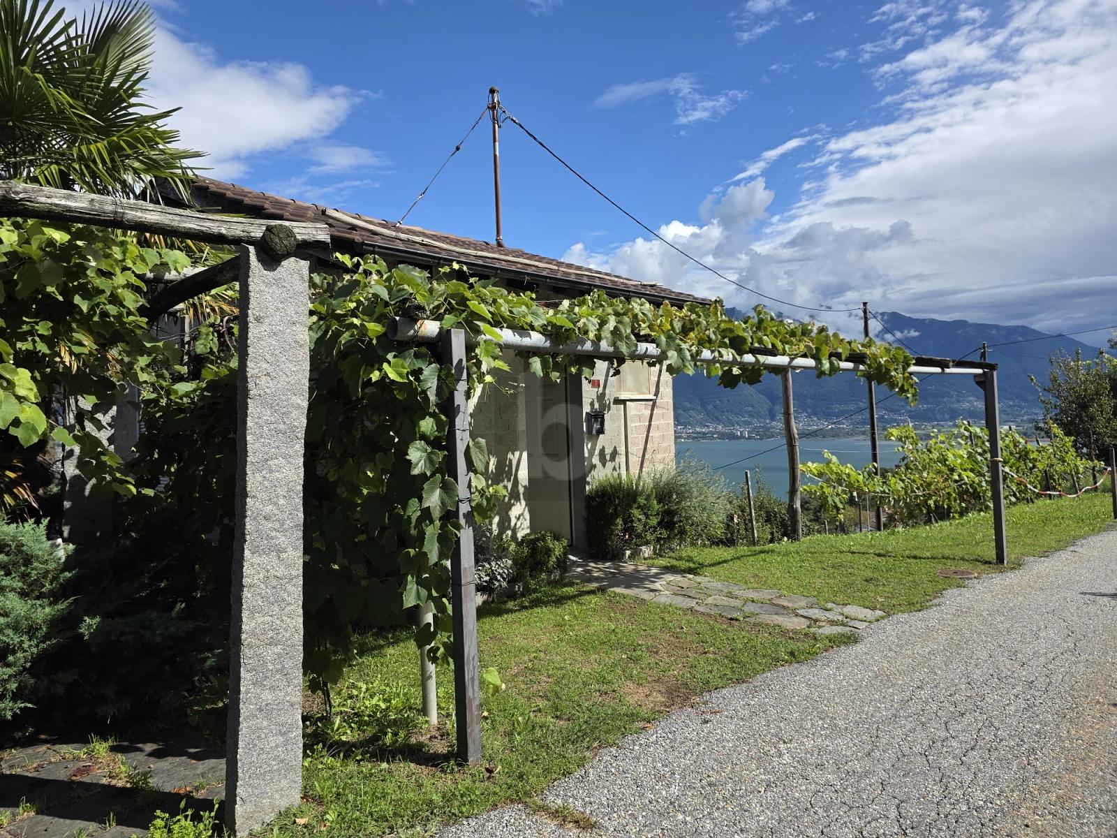 RUSTICO CON AMPIO TERRENO EDIFICABILE E VISTA - 2