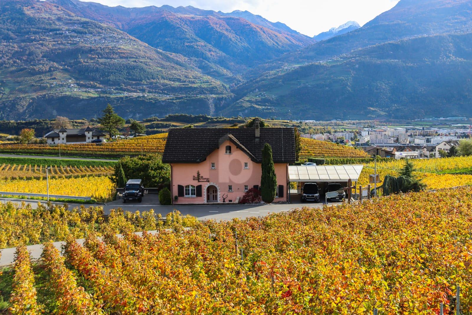 UNIQUE DANS UN CADRE IDYLLIQUE ! - 0