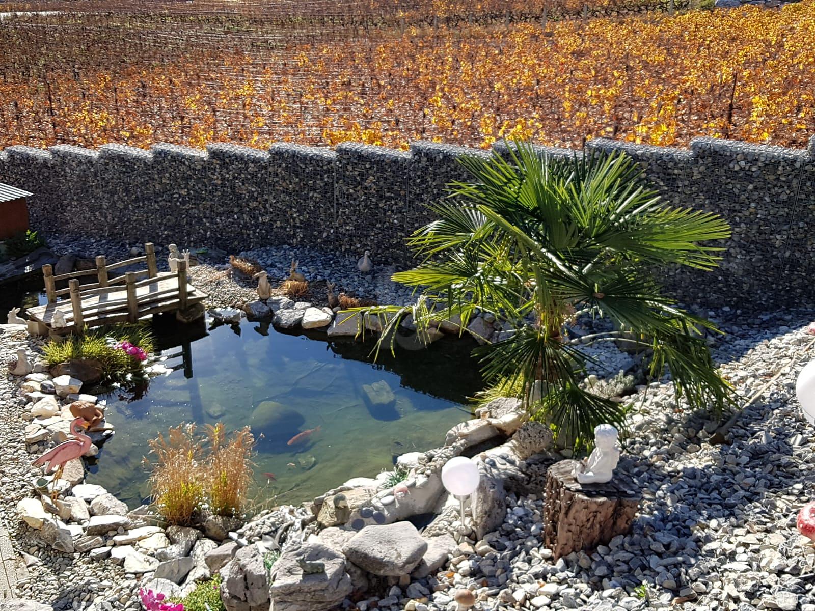 UNIQUE DANS UN CADRE IDYLLIQUE ! - 3