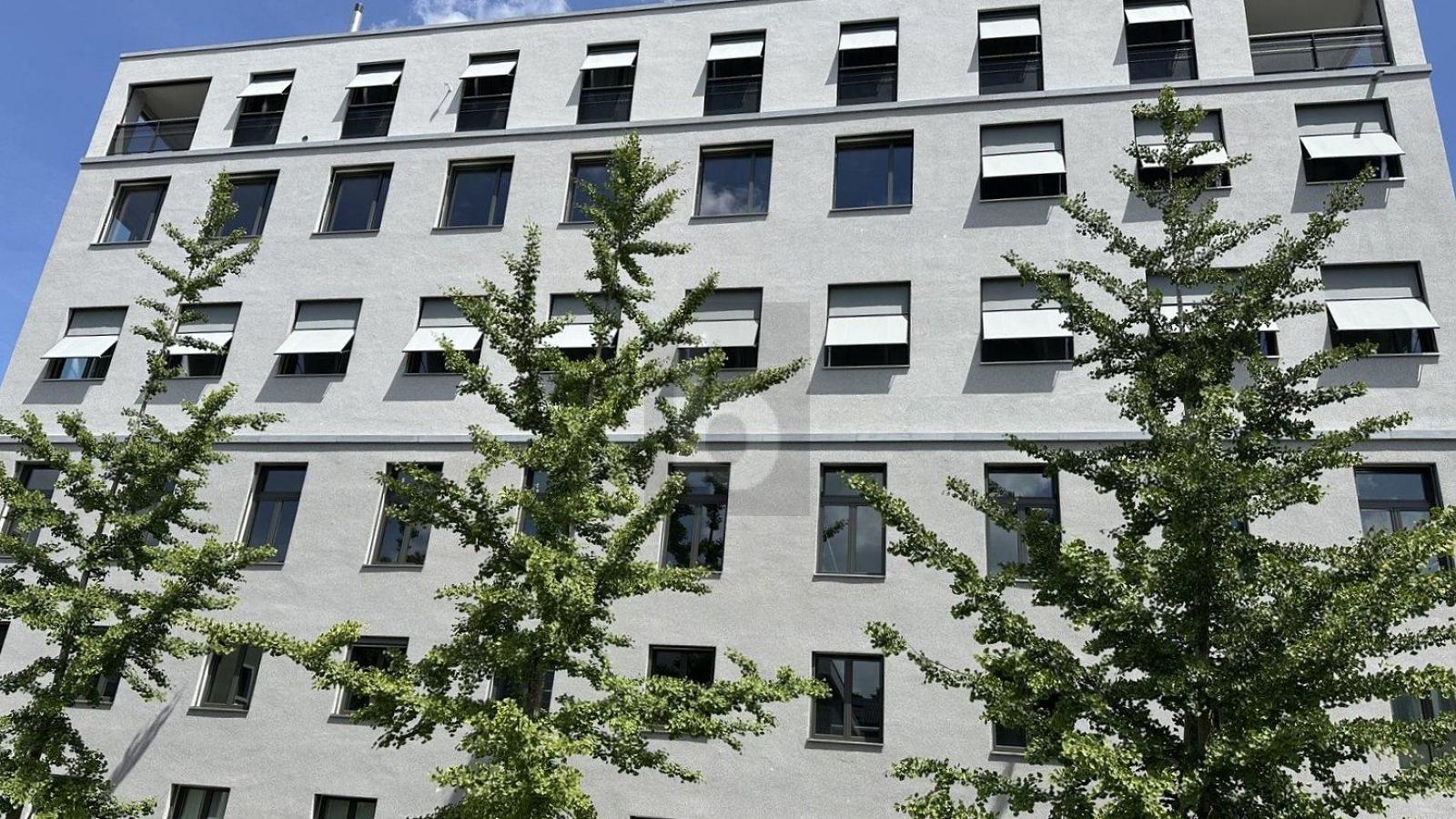 ZUR FREIEN GESTALTUNG AN PERFEKTER LAGE - 1